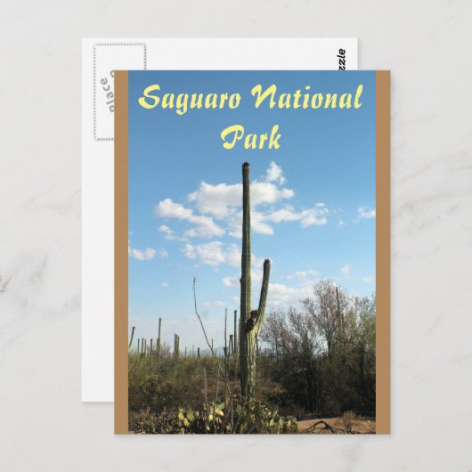 Het Nationale Park van Saguaro, het Briefkaart van (Voorkant / Achterkant)