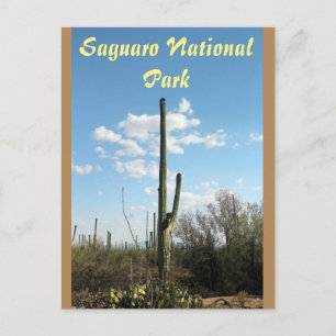 Het Nationale Park van Saguaro, het Briefkaart van