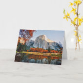Het Nationale Park van Yosemite Kaart (Gele Bloem)