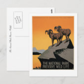 Het natuurreservaat van de nationale parken briefkaart (Voorkant / Achterkant)