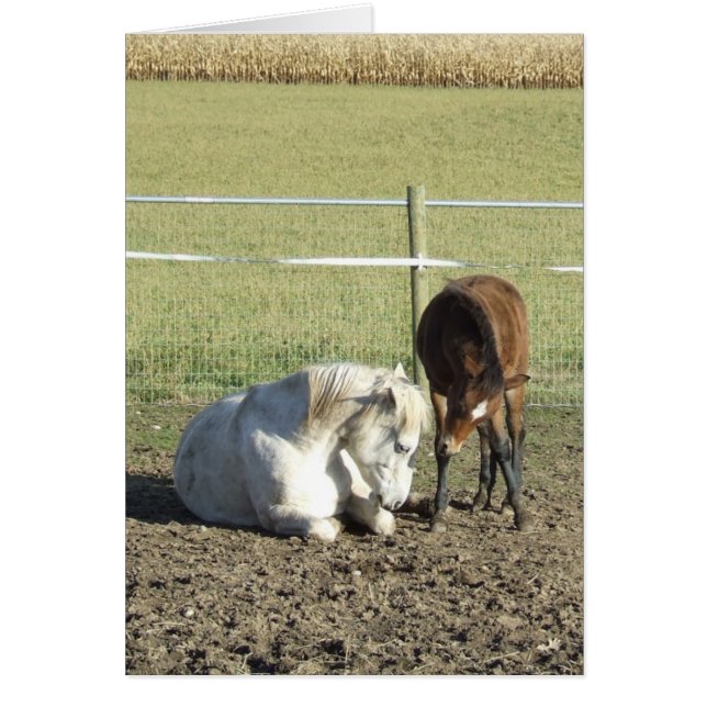 Het neemt patiëntenkaart (Voorkant)