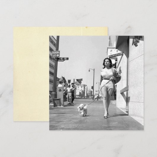  "Het nemen van de hond voor een wandeling" Flat N (Voorkant / Achterkant)