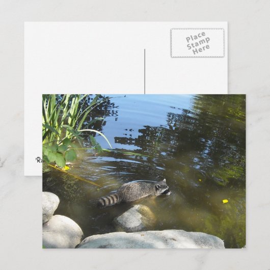 Het nemen van een Dip Racon Briefkaart (Voorkant / Achterkant)