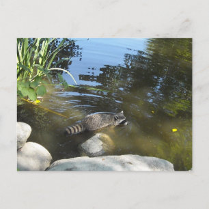 Het nemen van een Dip Racon Briefkaart