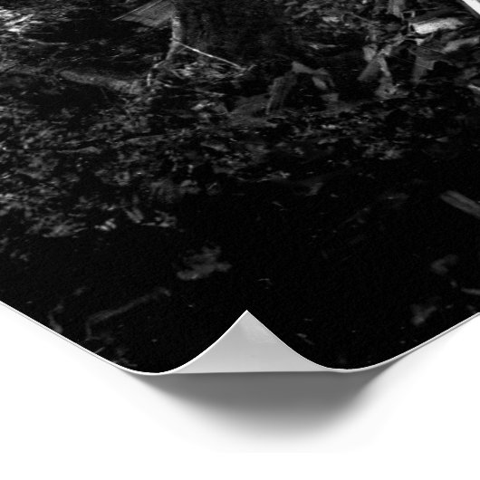 HET NEMEN VAN EEN GANGER C. 1890 POSTER (Hoek)