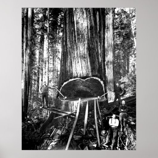 HET NEMEN VAN EEN GANGER C. 1890 POSTER (Voorkant)