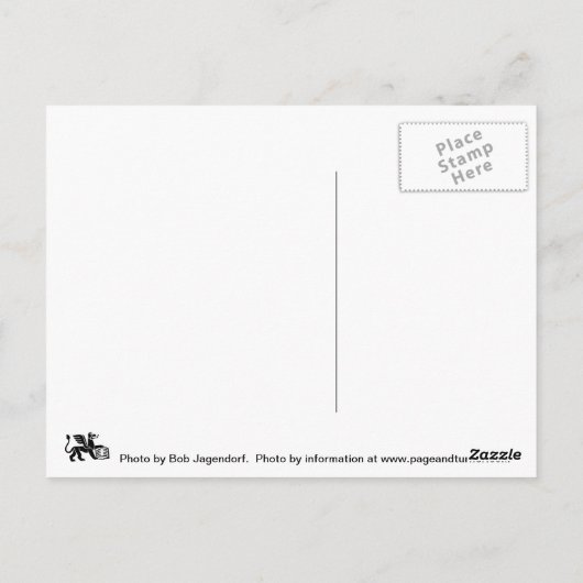 Het nemen van een ZelfPotrait op Cylone Briefkaart (Achterkant)