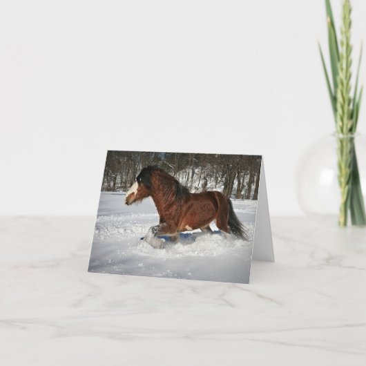 Het nemen van het in de kaarten van de Nota van de (Voorkant)