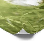 Het nemen van stappen in het gras poster (Hoek)