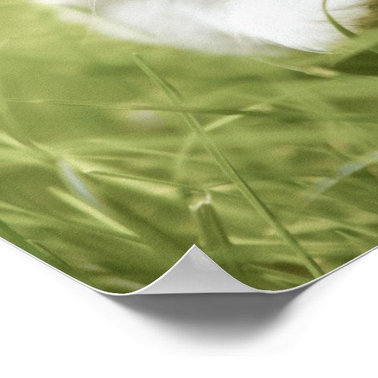 Het nemen van stappen in het gras poster (Hoek)