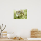 Het nemen van stappen in het gras poster (Keuken)