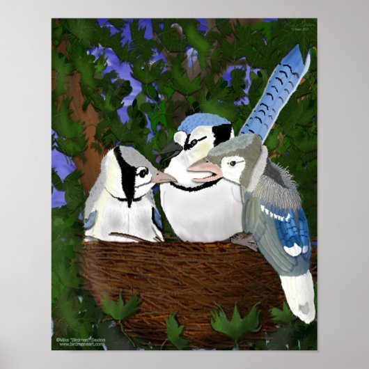 Het Nest Blue Jay Poster verlaten (Voorkant)