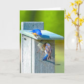 Het Nestelen van 020 Sialia de Steen van de Kaart (Gele Bloem)