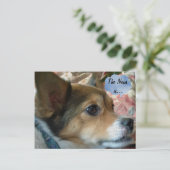 Het News Dog Briefkaart (Staand voorkant)