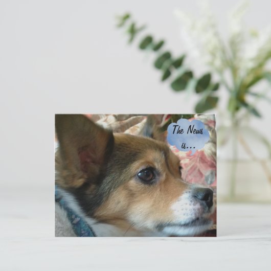 Het News Dog Briefkaart (Staand voorkant)