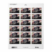 Het Nieuwe Adres van de Foto van het Manuscript va Etiket (Full Sheet)