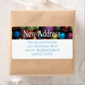 Het nieuwe Etiket van de Vakantie van de ornamente (Insitu)