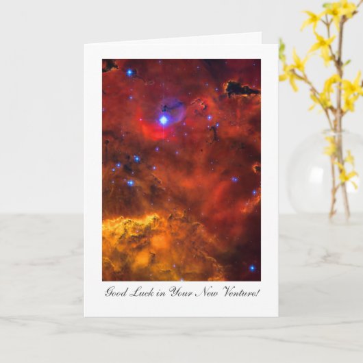 Het nieuwe Geluk van de Onderneming - Kaart (Gele Bloem)