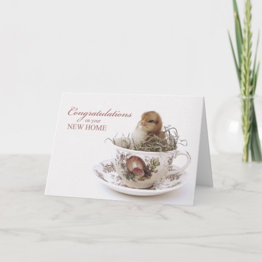 Het Nieuwe Huis van gelukwensen, Kuiken in Kaart (Voorkant)