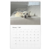 Het nieuwe jaar van april kalender (Feb 2027)