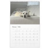 Het nieuwe jaar van april kalender (Feb 2026)