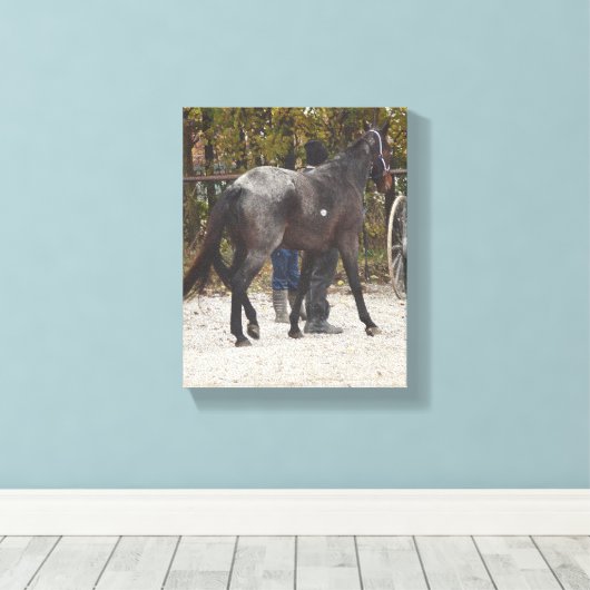 Het nieuwe paard canvas afdruk (Insitu (Houten vloer))