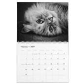 Het nieuwe Siberische kat-kalender 2017 Kalender (Feb 2027)