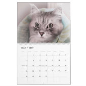 Het nieuwe Siberische kat-kalender 2017 Kalender (Mar 2027)