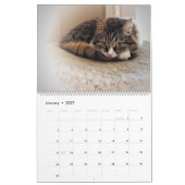 Het nieuwe Siberische kat-kalender 2017 Kalender (Jan 2027)
