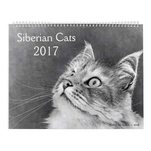 Het nieuwe Siberische kat-kalender 2017 Kalender (Hoes)
