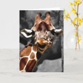 Het nieuwsgierige Wenskaart van de Giraffe Kaart (Gele Bloem)