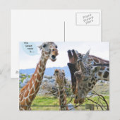 Het nieuwste nieuws is Briefkaart (Voorkant / Achterkant)