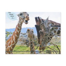 Het nieuwste nieuws is Briefkaart