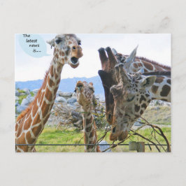 Het nieuwste nieuws is Briefkaart