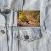 Het Night Parakeet Badge Groot Button (Insitu)