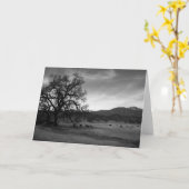 Het Noorden van het vee van Stonyford, Colusa Kaart (Gele Bloem)