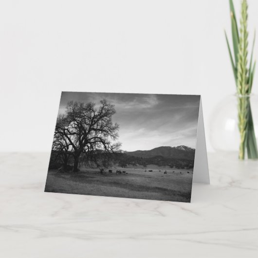 Het Noorden van het vee van Stonyford, Colusa Kaart (Voorkant)