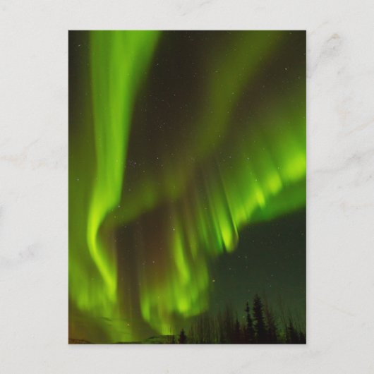 Het Noorderlicht | Fairbanks, Alaska Briefkaart (Voorkant)