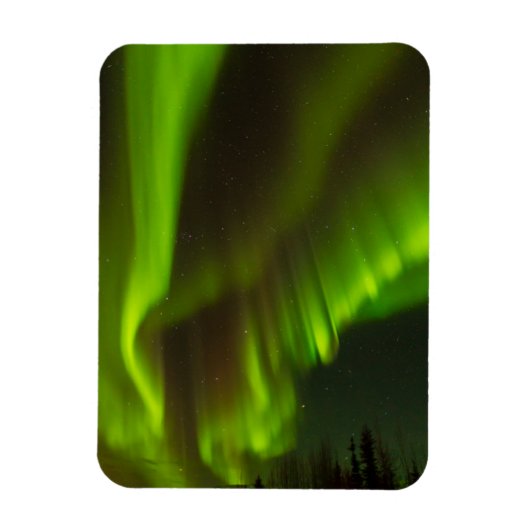 Het Noorderlicht | Fairbanks, Alaska Magneet (Verticaal)