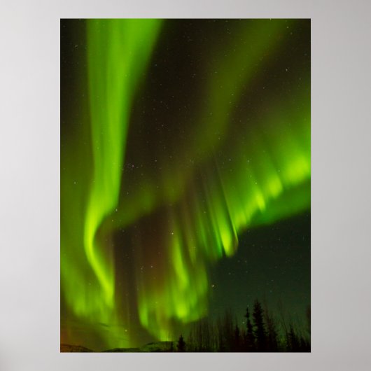 Het Noorderlicht | Fairbanks, Alaska Poster (Voorkant)