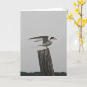 Het noordpool Wenskaart van de Stern Kaart (Gele Bloem)