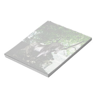 Het Notitieblok van de Grote Rivierscheiding