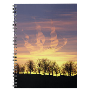 Het Notitieboek Night Sky vangen