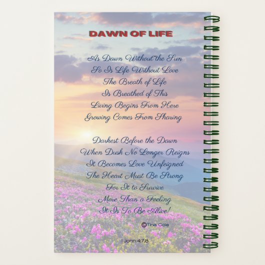 Het Notitieboek van de perfecte dichter (Achterkant)