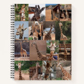 Het Notitieboek van het beslag (Voorkant)