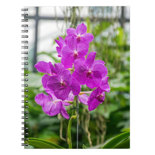 Het notitieboekje van orchideeën notitieboek (Voorkant)