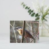 Het Nuthatch-Briefkaart dragen Briefkaart (Staand voorkant)