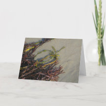 Het oceaan Zeewier van het Strand