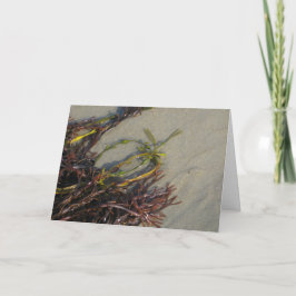 Het oceaan Zeewier van het Strand Kaart