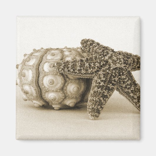 Het Odd-paar Magneet (Voorkant)